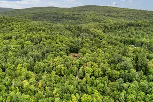 170 Reed's Mill Rd, Madrid Twp, ME 04966 - Photo 55
