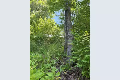 454 Brighton Road, Bingham, ME 04920 - Photo 9