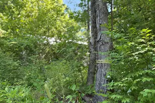 454 Brighton Rd, Bingham, ME 04920 - Photo 9