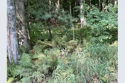 Map 7 Lot 10-2 Bailey Hill Road, Cambridge, ME 04923 - Photo 5