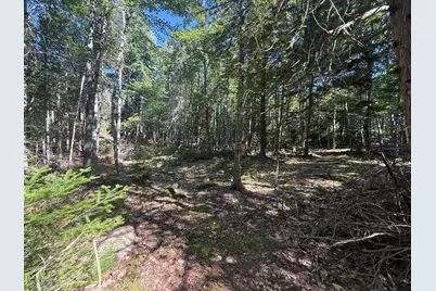 0 Pine Hill Lane, Blue Hill, ME 04614 - Photo 7