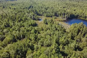 0 Pine Hill Ln, Blue Hill, ME 04614 - Photo 1