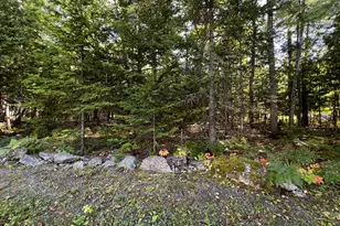 58 Long Hill Rd, Orrington, ME 04474 - Photo 123