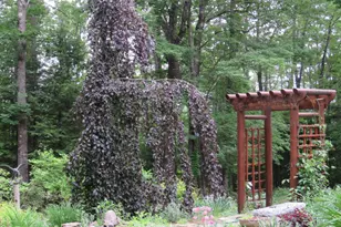 27 Reservoir Hill, Parsonsfield, ME 04047 - Photo 9