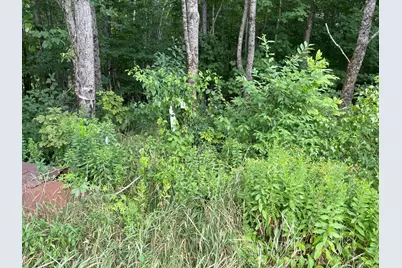 Lot# Bemis Road, Harmony, ME 04942 - Photo 5