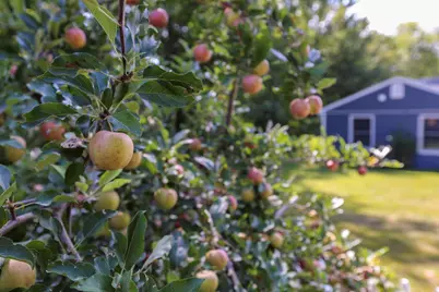 26 Monroe Road, Searsport, ME 04974 - Photo 51