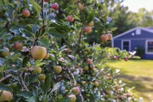 26 Monroe Rd, Searsport, ME 04974 - Photo 51