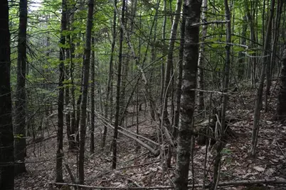 115 Burns Road, Moscow, ME 04920 - Photo 17