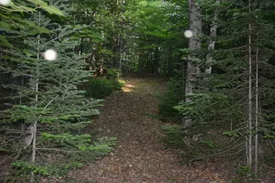 115 Burns Road, Moscow, ME 04920 - Photo 7