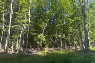 Lot 7 Alice Dr, Limerick, ME 04048 - Photo 1