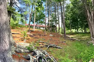 539 Castine Rd, Orland, ME 04472 - Photo 13