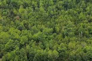 59 Monroe Rd, Winterport, ME 04496 - Photo 29