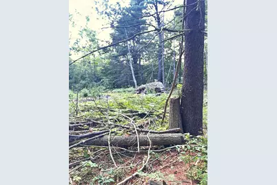 0 Blackberry Lane, Biddeford, ME 04005 - Photo 3