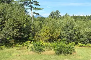 38 Buzzell Dr, Fryeburg, ME 04037 - Photo 5