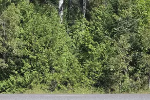 M6L10 New Sweden Rd, Stockholm, ME 04783 - Photo 1