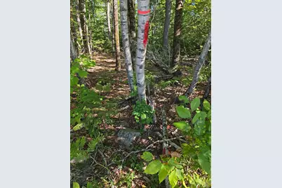 Lot 2 Cobb Road, Lee, ME 04455 - Photo 19