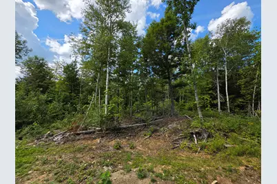 Lot 12 Meadow Lane Road, Lee, ME 04455 - Photo 17