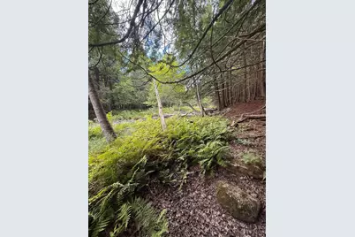 001 Harmony Road, Athens, ME 04912 - Photo 5