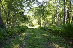 71 Birch Rd, Limington, ME 04961 - Photo 69