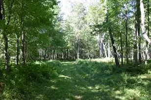 71 Birch Rd, Limington, ME 04961 - Photo 77