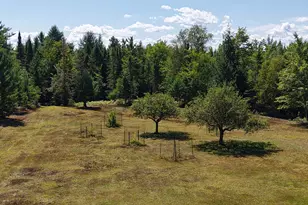 71 Birch Rd, Limington, ME 04961 - Photo 93