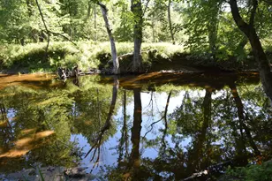 71 Birch Rd, Limington, ME 04961 - Photo 73