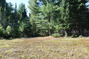 71 Birch Rd, Limington, ME 04961 - Photo 57