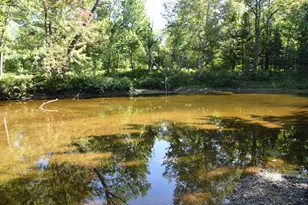 71 Birch Rd, Limington, ME 04961 - Photo 67