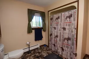 71 Birch Rd, Limington, ME 04961 - Photo 21