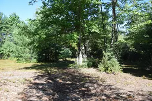 71 Birch Rd, Limington, ME 04961 - Photo 55