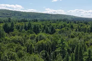71 Birch Rd, Limington, ME 04961 - Photo 97