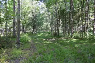 71 Birch Rd, Limington, ME 04961 - Photo 63