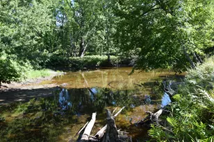 71 Birch Rd, Limington, ME 04961 - Photo 65