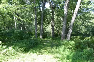71 Birch Rd, Limington, ME 04961 - Photo 75