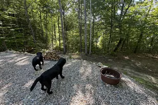 M6L36 Timberland Rd, Dixfield, ME 04224 - Photo 3