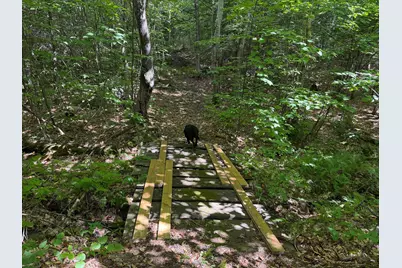 M6L36 Timberland Road, Dixfield, ME 04224 - Photo 13