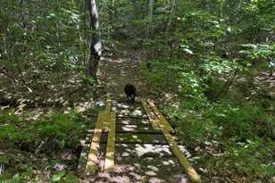 M6L36 Timberland Rd, Dixfield, ME 04224 - Photo 13