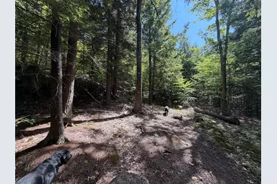 M6L36 Timberland Road, Dixfield, ME 04224 - Photo 27