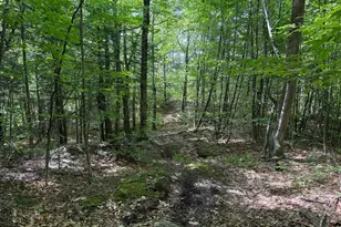 M6L36 Timberland Rd, Dixfield, ME 04224 - Photo 17
