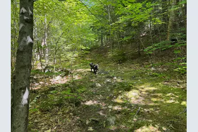 M6L36 Timberland Road, Dixfield, ME 04224 - Photo 19