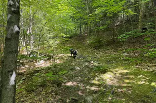 M6L36 Timberland Rd, Dixfield, ME 04224 - Photo 19