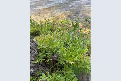 72 Jackson Lane, Norway, ME 04268 - Photo 33