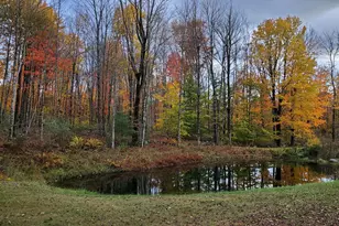 161 Kimball Hill Rd, Cornish, ME 04020 - Photo 11