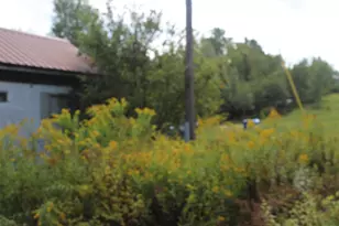 623 River Rd, Oakfield, ME 04763 - Photo 3