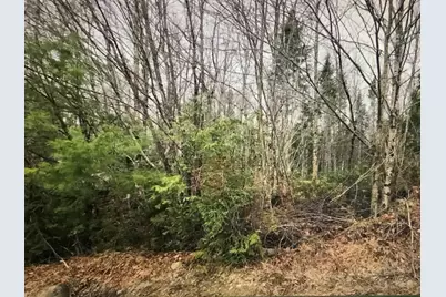 0 Fire Road, Linneus, ME 04730 - Photo 11