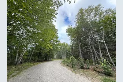 293 Yellow Birch Road, Whiting, ME 04691 - Photo 91