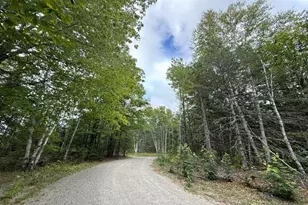 293 Yellow Birch Rd, Whiting, ME 04691 - Photo 93