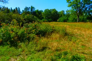 291 Copeland Hill Rd, Holden, ME 04429 - Photo 1