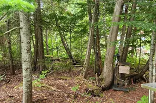 3604 Caribou Rd, Cross Lake Twp, ME 04779 - Photo 39