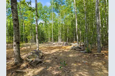 Tbd Stoney Ridge Road, Eddington, ME 04428 - Photo 5